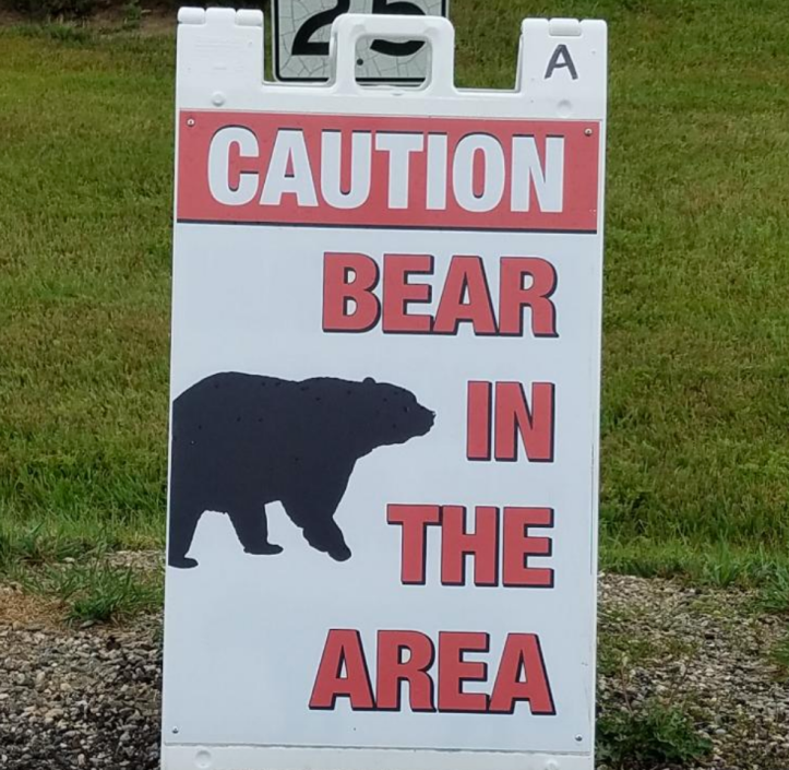 bear sign.png